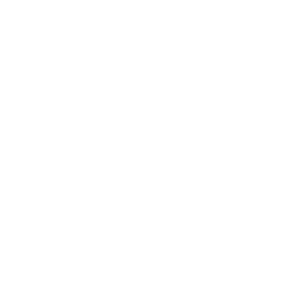 IT Consulting